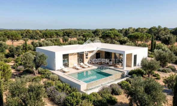 New build - Villa - Pinoso - Casas Pastor