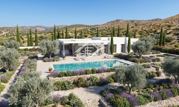 New build - Villa - Pinoso - Casas Pastor