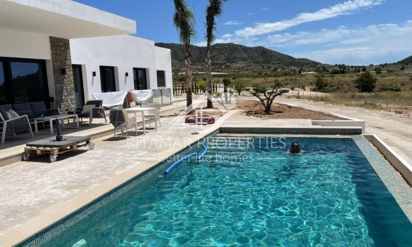 New build - Villa - Pinoso - Casas Pastor