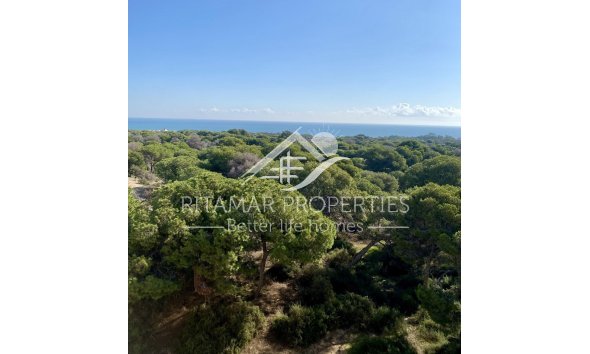New build - Apartment - Guardamar del Segura - Centro