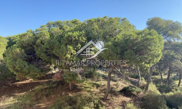 New build - Penthouse - Guardamar del Segura - Centro