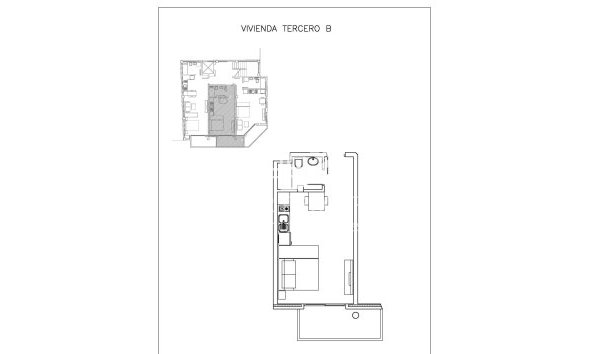 Nieuwbouw - Appartement - Guardamar del Segura - Centro