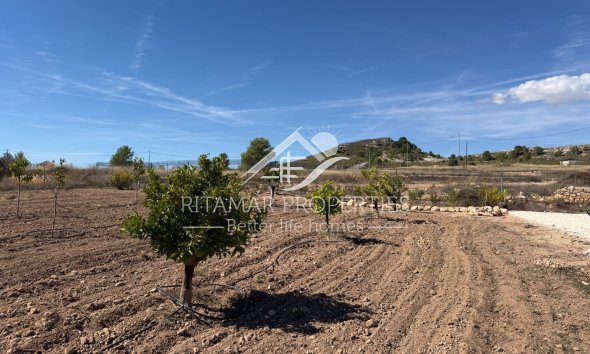 Resale - Villa - Pinoso