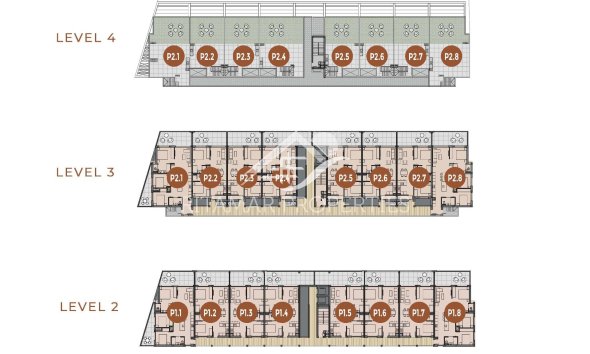 Obra Nueva - Apartamento - Torrevieja - Los Frutales