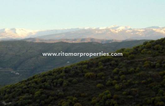 Sale - Villa - Adra
