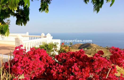 Sale - Villa - Adra