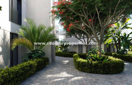 Obra Nueva - Apartamento - Torre Pacheco