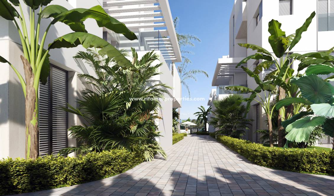 Obra Nueva - Apartamento - Torre Pacheco