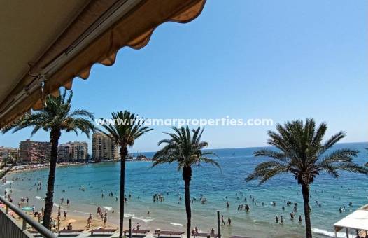 Apartamento -  - Torrevieja - Torrevieja